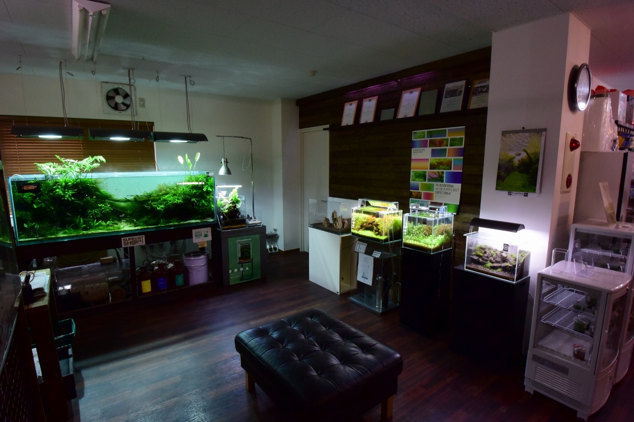 ディーアクアリウム店舗案内
